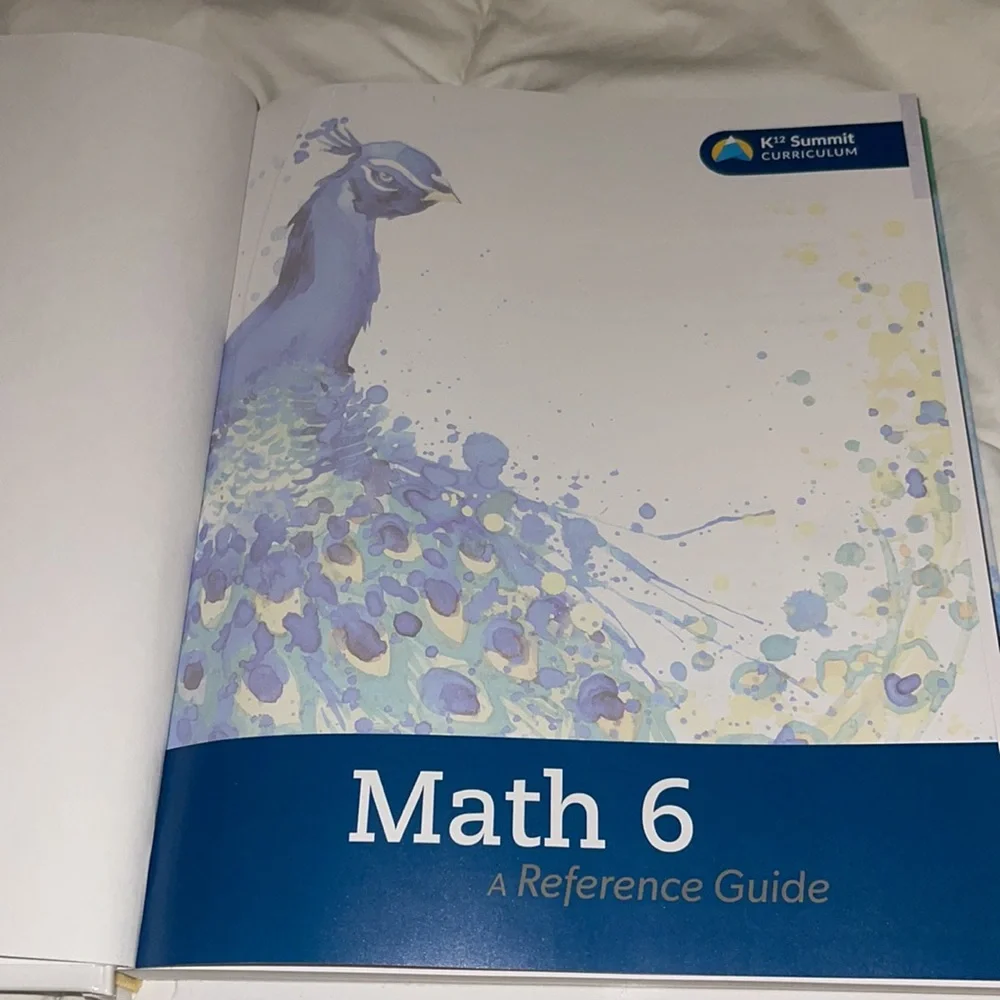 Math 6th grade homeschool textbook A Reference Guide - Picture 4 of 9